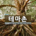테마촌 뜻