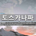 토스카나파 뜻: 13세기 이탈리아의 토스카나 지방에서 활동하였던 화가들을 통틀어 이르는 말. 프란체스코 성