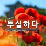 투실하다 뜻