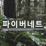 ㈜이케이네트글로벌 | 파이버네트 뜻: 가까운 지역의 통신망을 광케이블 방식으로 한 것. 파이버네트 뜻: 가까운 지역의 통신망을 광케이블 방식으로 한 것.