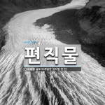편직물 뜻: 실로 뜨개질한 것처럼 짠 천.
