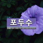 포두해밀솔라 | 포두수 뜻