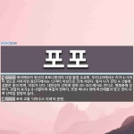 포포 뜻