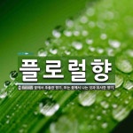 플로럴향 뜻: 꽃에서 추출한 향기. 또는 꽃에서 나는 것과 유사한 향기. 플로럴향 뜻: 꽃에서 추출한 향기. 또는 꽃에서 나는 것과 유사한 향기.