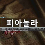 (주)피아놀린 | 피아놀라 뜻: 사람이 연주하는 대신에 기계의 작용에 의하여 자동적으로 연주하는 피아노. 특수한 악보를 쓰