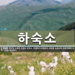 김호선 개인소유 시설 | 하숙소 뜻: 개인이 소유한 소형의 숙박소. 호텔이나 모텔보다 저렴한 요금으로 관광객에게 숙박 시설을 제