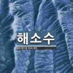 해소수 뜻: 한 해가 좀 지나는 동안.
