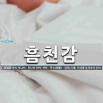 천문장례토탈;천명라이프 | 흠천감 뜻: 중국 명나라ㆍ청나라 때에, 천문ㆍ역수(曆數)ㆍ점후(占候) 따위를 맡아보던 관아.