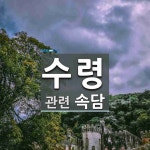 수령에 관한 속담: 1개