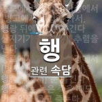 행에 관한 속담: 4개