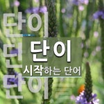 단이로 시작하는 단어는? 4개