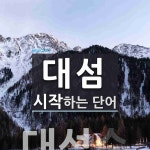 대섬으로 시작하는 단어는? 1개