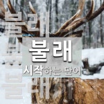 불래로 시작하는 단어는? 3개