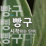 서해안빵구세차장 | 빵구로 시작하는 단어는? 3개