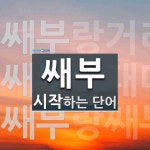 "쌔부" 시작 단어