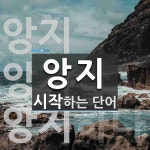 앙지로 시작하는 단어는? 4개
