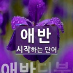 애반헤어공방 | "애반" 시작 단어