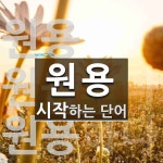 용안이용원 | 원용으로 시작하는 단어는? 5개