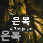 은복가공소자판기 | 은복으로 시작하는 단어는? 3개
