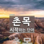갈목토종건강촌 | "촌목" 시작 단어