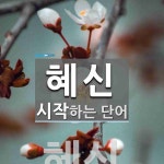 "혜신" 시작 단어