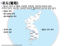포두해밀솔라 | 사투리 포두의 뜻과 활용