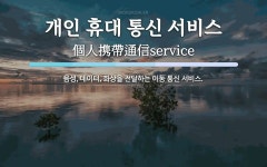 개인 휴대 통신 서비스 뜻: 음성, 데이터, 화상을 전달하는 이동 통신 서비스.