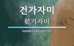 건가자미 뜻: 내장을 빼내고 간을 하여 말린 가자미.