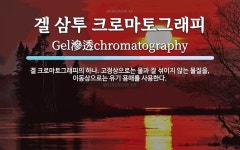 진마토그래피 | 겔 삼투 크로마토그래피 뜻: 겔 크로마토그래피의 하나. 고정상으로는 물과 잘 섞이지 않는 물질을, 이동상으로는 유기 용