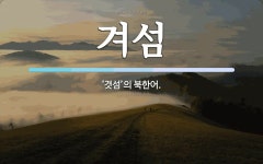 겨섬 뜻: ‘겻섬’의 북한어.