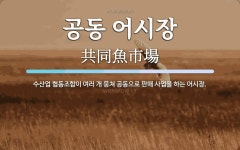 공동 어시장 뜻: 수산업 협동조합이 여러 개 뭉쳐 공동으로 판매 사업을 하는 어시장.