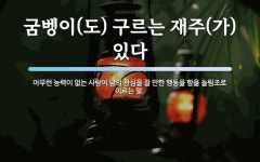 굼벵이도 구르는 재주가 있다 뜻: 아무런 능력이 없는 사람이 남의 관심을 끌 만한 행동을 함을 놀림조로 이르는 말.