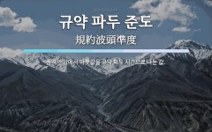 규약 파두 준도 뜻: 충격 전압에서 마룻값을 규약 파두 시간으로 나눈 값.