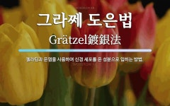그라쩨 도은법 뜻: 젤라틴과 은염을 사용하여 신경 세포를 은 성분으로 입히는 방법. 그라쩨 도은법 뜻: 젤라틴과 은염을 사용하여 신경 세포를 은...