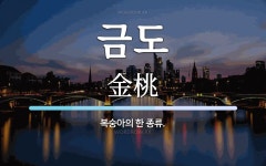 금도 뜻: 복숭아의 한 종류.