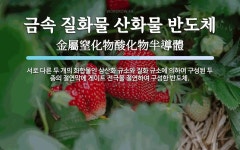 화성금속질화 | 금속 질화물 산화물 반도체 뜻: 서로 다른 두 개의 화합물인 삼산화 규소와 질화 규소에 의하여 구성된 두 층의 절연막에 게