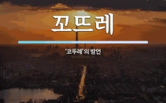 꼬뜨레 뜻: ‘코뚜레’의 방언
