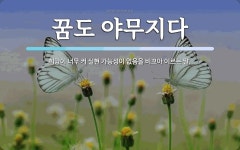 꿈도 야무지다 뜻: 희망이 너무 커 실현 가능성이 없음을 비꼬아 이르는 말.