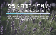 비에스아이아이엔시 | 단일 오퍼랜드 어드레싱 뜻: 하나의 피연산자를 사용하여 작업을 정의하는 명령어 지정 방법. 예를 들면, 아이엔시(INC