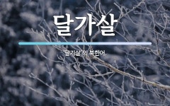 달가살 뜻: ‘달기살’의 북한어.