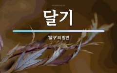 달기 뜻: ‘달구’의 방언