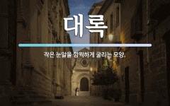 주록휴게소매점 | 대록 뜻: 작은 눈알을 깜찍하게 굴리는 모양.