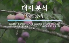 대지 분석 뜻: 대지 계획에 필요한 대지 조건, 즉 대지의 물리적 현상 및 규모, 지표면, 수리, 지질, 대지 분석 뜻: 대지 계획에 필요한 대지 조건, 즉...