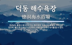 Ảnh kết quả tìm kiếm Naver 3