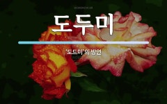 다드美다드미 | 도두미 뜻: ‘도드미’의 방언