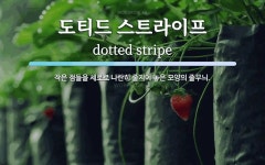 도티드 스트라이프 뜻: 작은 점들을 세로로 나란히 줄지어 놓은 모양의 줄무늬. 도티드 스트라이프 뜻: 작은 점들을 세로로 나란히 줄지어 놓은...