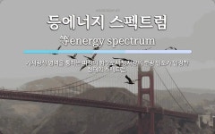 동림에너지주 | 등에너지 스펙트럼 뜻: 가시광선 영역을 통하는 파장의 함수로서 방사량의 분광 밀도가 일정한 형태의 스펙트럼.