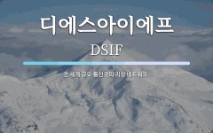 DSF&B(디에스에프앤비) | 디에스아이에프 뜻: 전 세계 규모 통신국의 지상 네트워크.