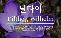 딜타이 뜻: 독일의 철학자(1833~1911). 자연 과학에 대한 정신 과학의 영역을 기술적ㆍ분석적ㆍ심