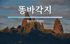 원조똥각시 | 똥바각지 뜻: ‘똥바가지’의 방언